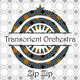 Cover art for album Zip Zip by Transorient Orchestra