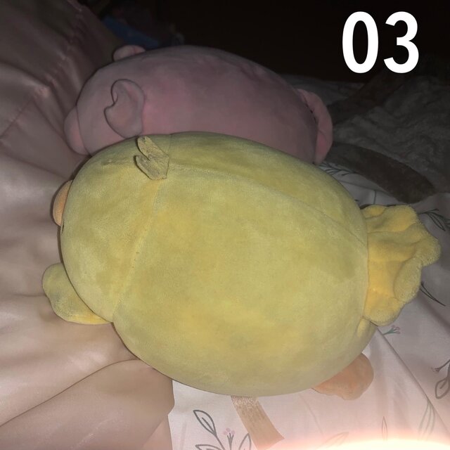 03