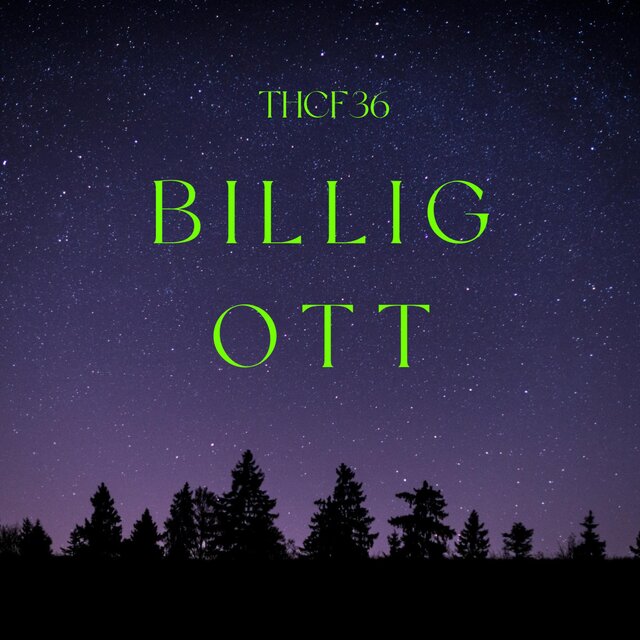 BILLIG OTT