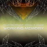 Working Memory
