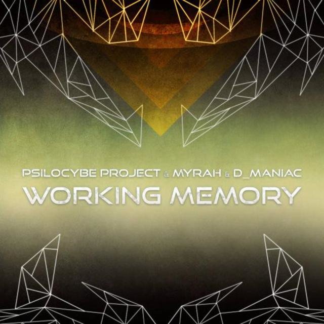 Working Memory