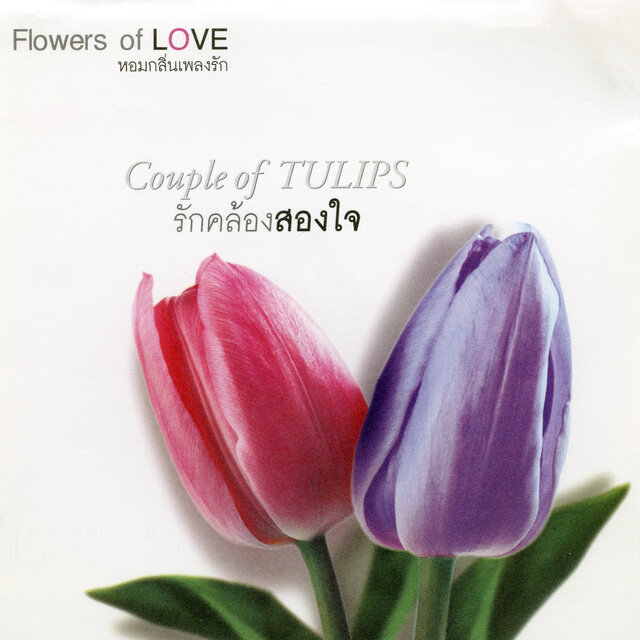 FLOWERS 6 Couple Of Tulips รักคล้องสองใจ