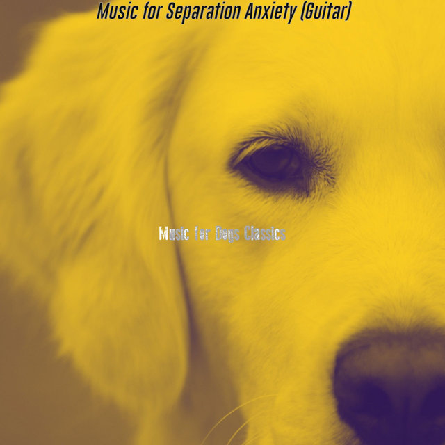 Music for Separation Anxiety (Guitar)
