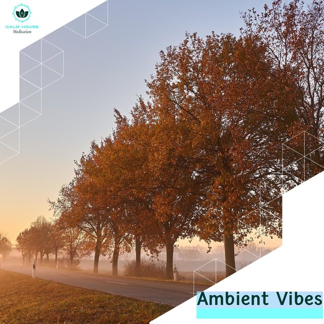 Ambient Vibes
