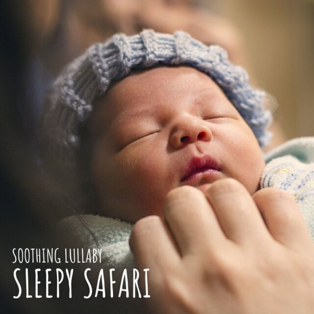 Sleepy Safari: Baby Lullaby