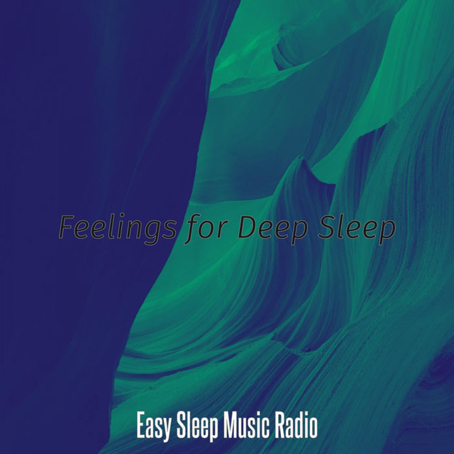 Feelings for Deep Sleep