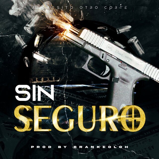 Sin Seguro