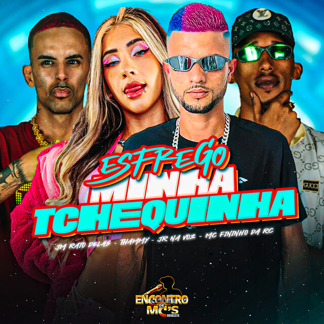 ESFREGO MINHA TCHEQUINHA