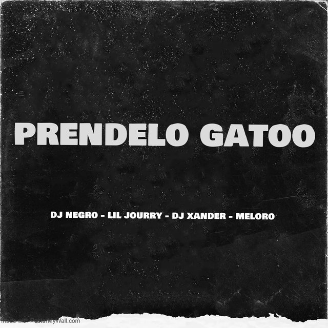 Prendelo Gatoo