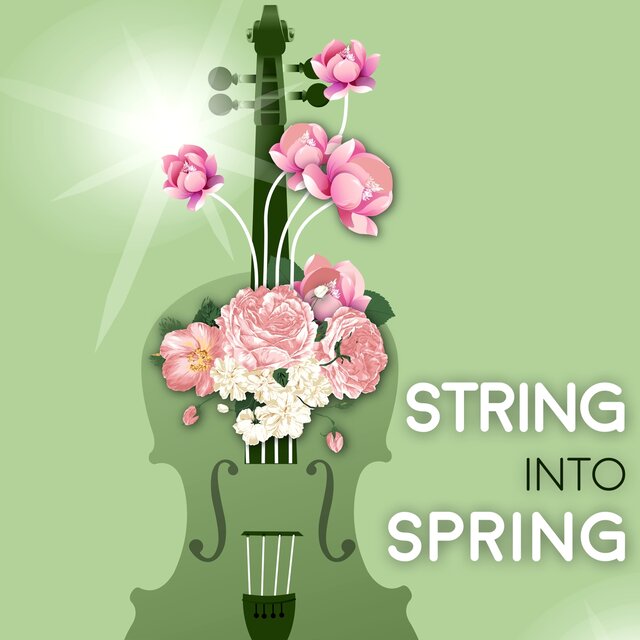 String Into Spring