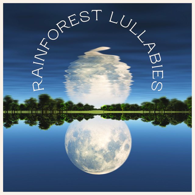 Rainforest Lullabies - Nature Sounds for Sleep