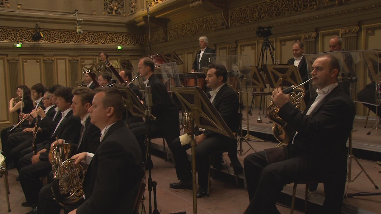 Symphony #9: Scherzo. Molto vivace