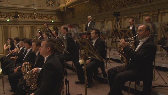 Symphony #9: Scherzo. Molto vivace