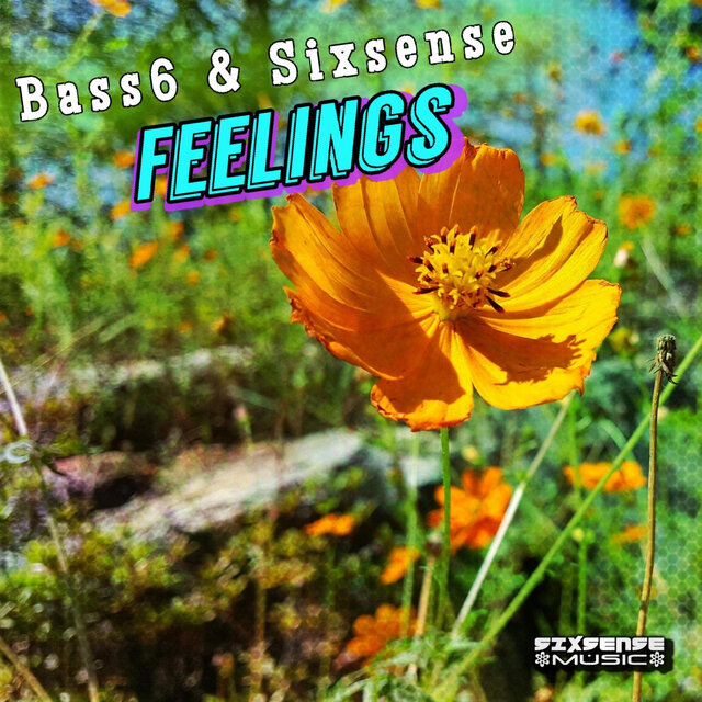 Feelings