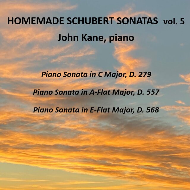 Homemade Schubert Sonatas, Vol. 5