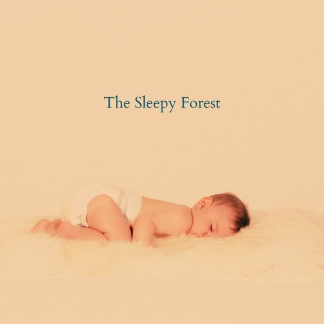 The Sleepy Forest