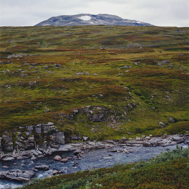 The Fells
