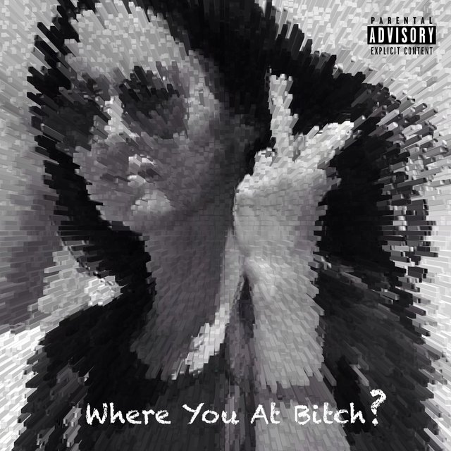 Where You at Bitch?