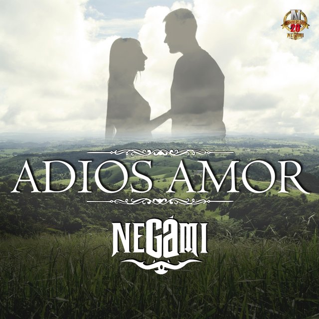 Adios Amor