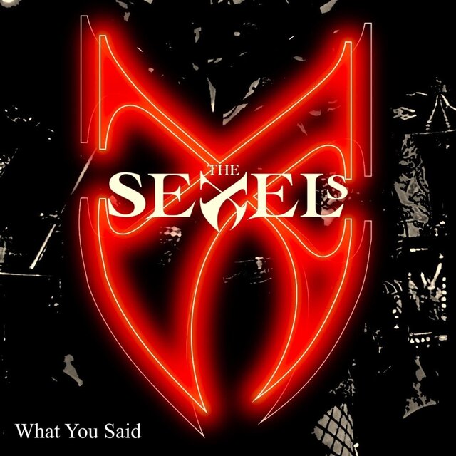 Cover art for album What You Said by The Sexels