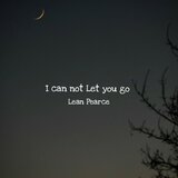 I Can Not Let You Go