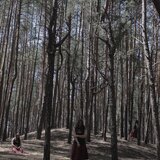 LandWhereDropsBecomeWater IV