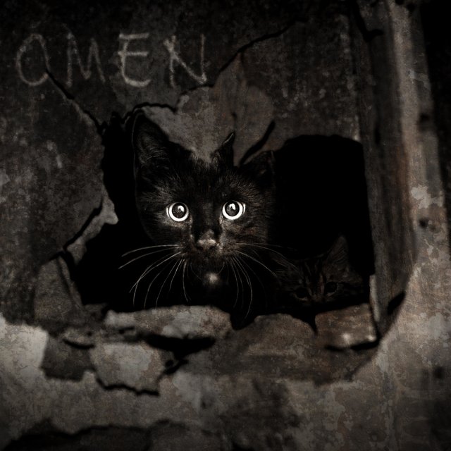 Omen (feat. Keirynn Topp)