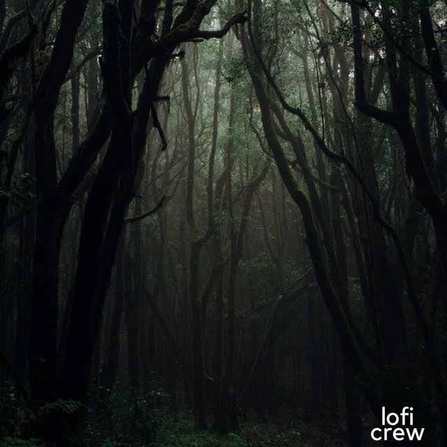 Ambient Dark LoFi for Studying
