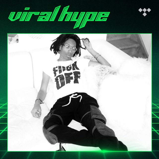 Cover art for album Viral Hype by TIDAL