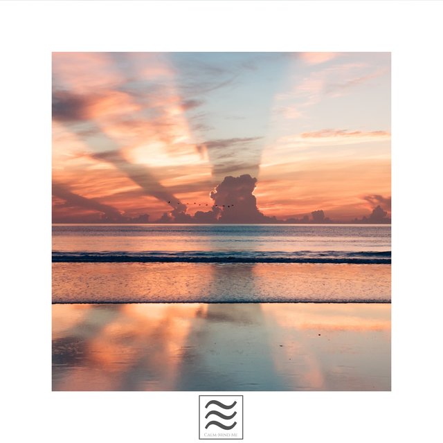 Waves Sleepful Sound