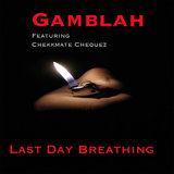 Last Day Breathing