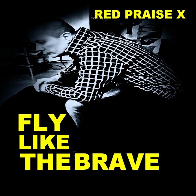 Fly Like the Brave
