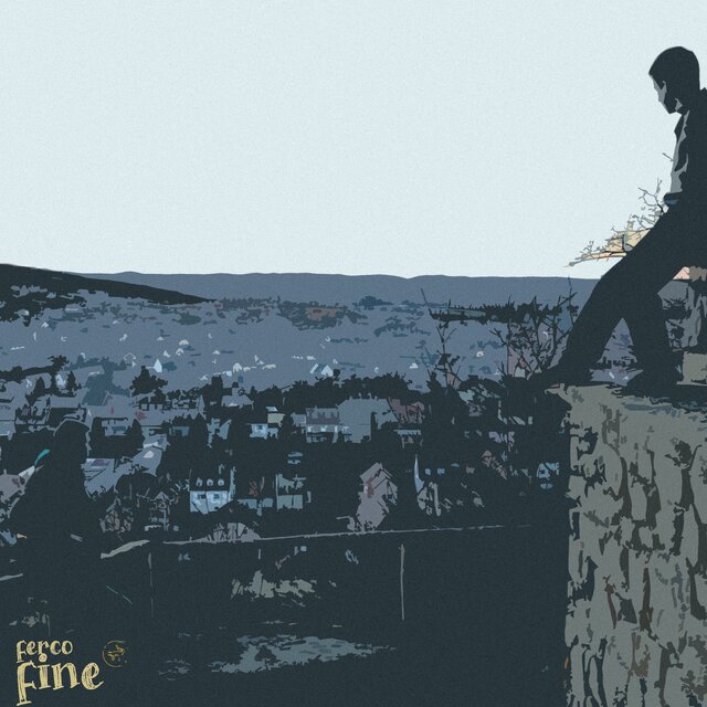 Fine
