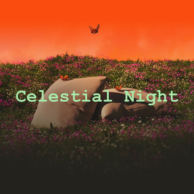 Celestial Night