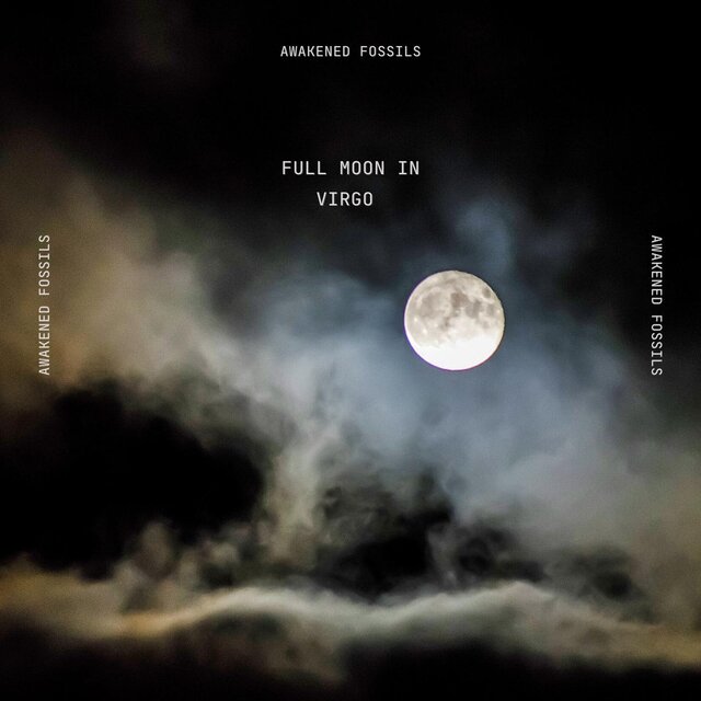 Full Moon In Virgo