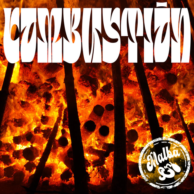 Combustion