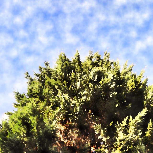 Greenorth