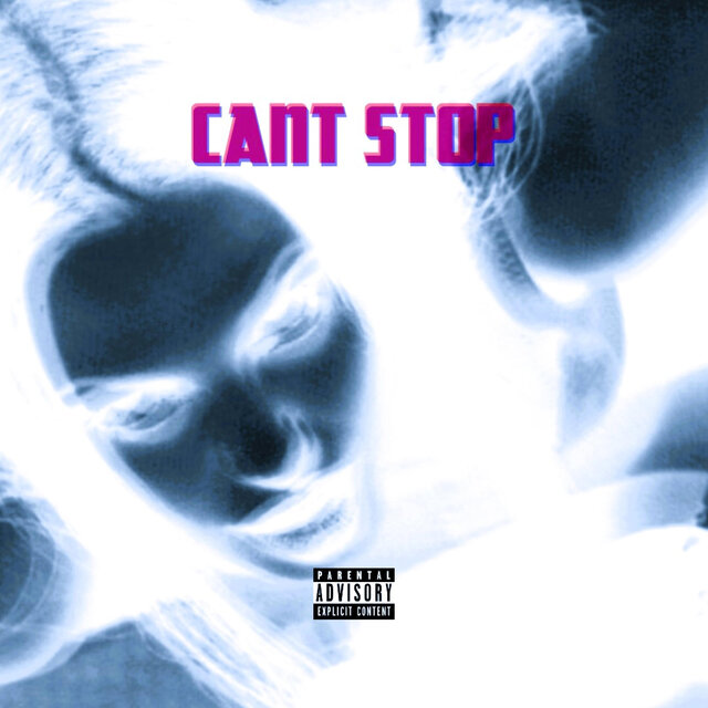 CANT STOP