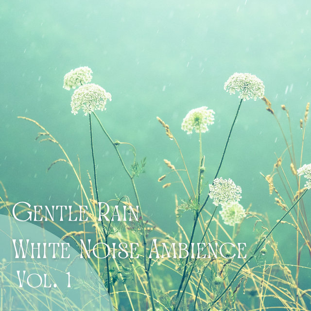 Gentle Rain White Noise Ambience Vol. 1 - 3 Hours