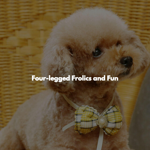 Four-legged Frolics and Fun