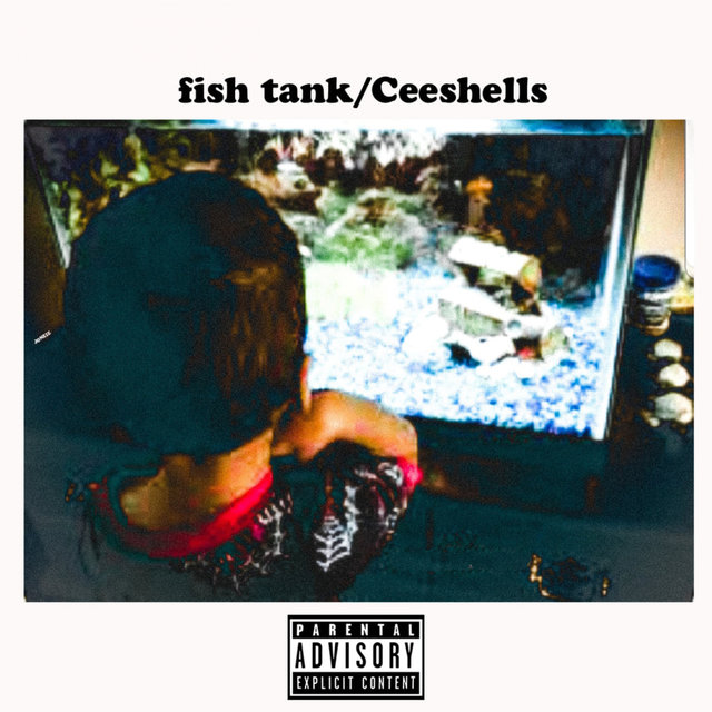 Ceeshells