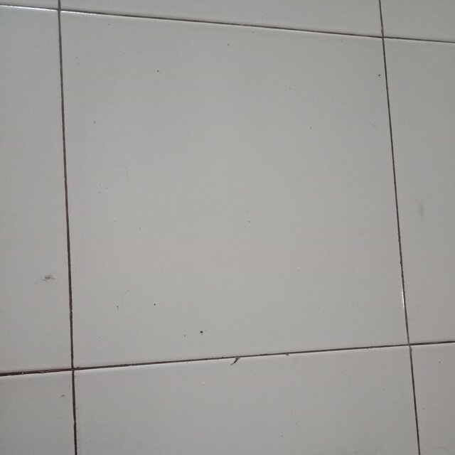 Panas