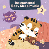 Baby Owl's Bedtime Song (Instrumental)