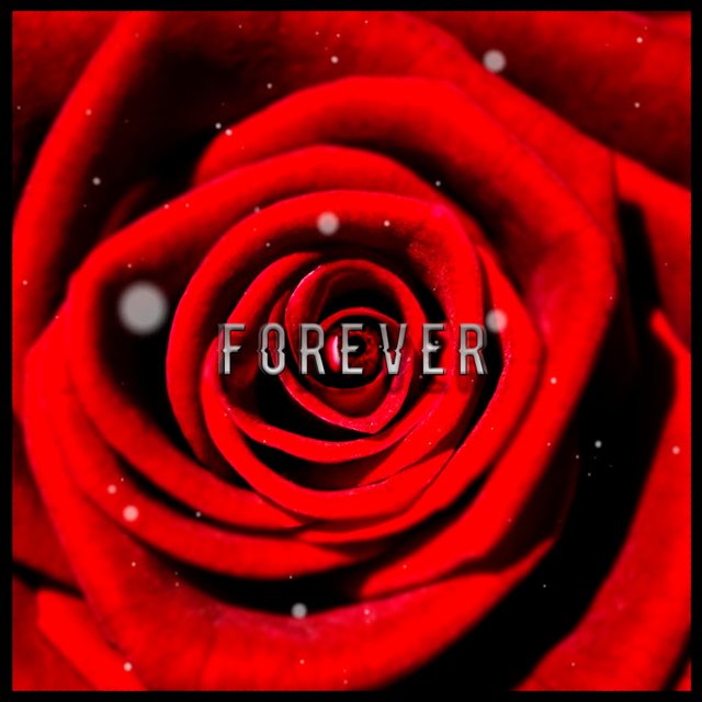Forever