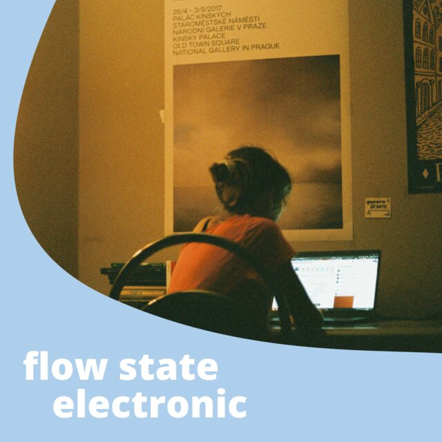flow state electronic focus