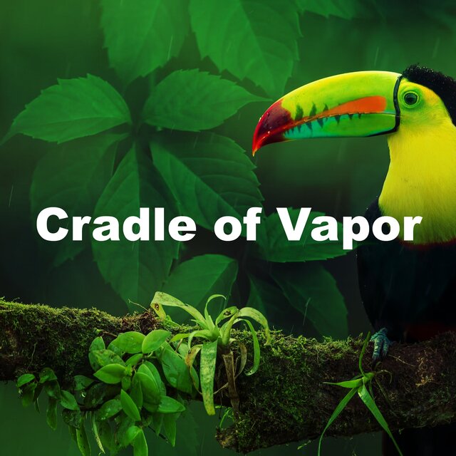 Cradle of Vapor