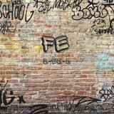 FE