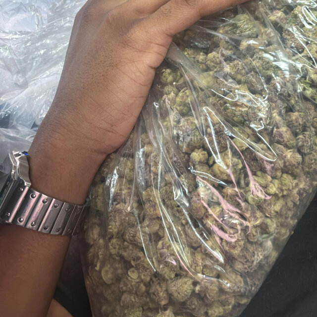 In My Mode