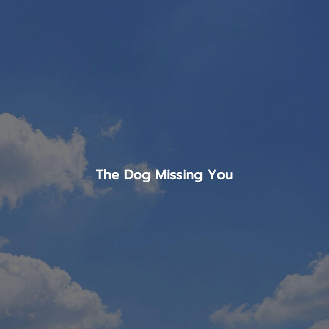 The Dog Missing You