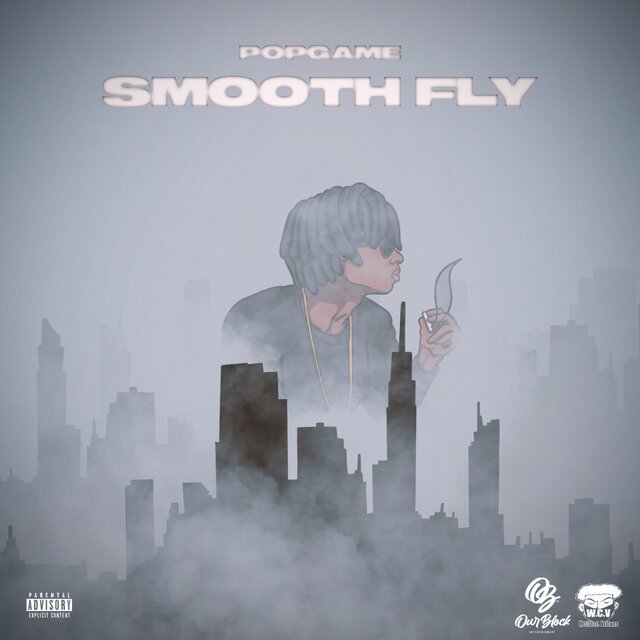 Smooth Fly